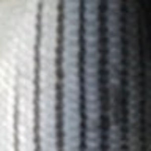 Meet your Posher, Paul